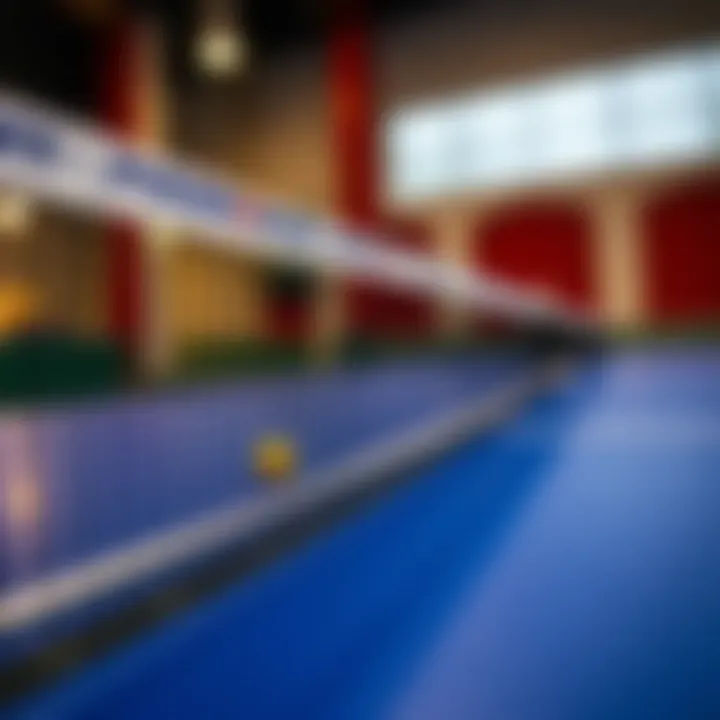 Close-up of RocketPlay table tennis net with court background